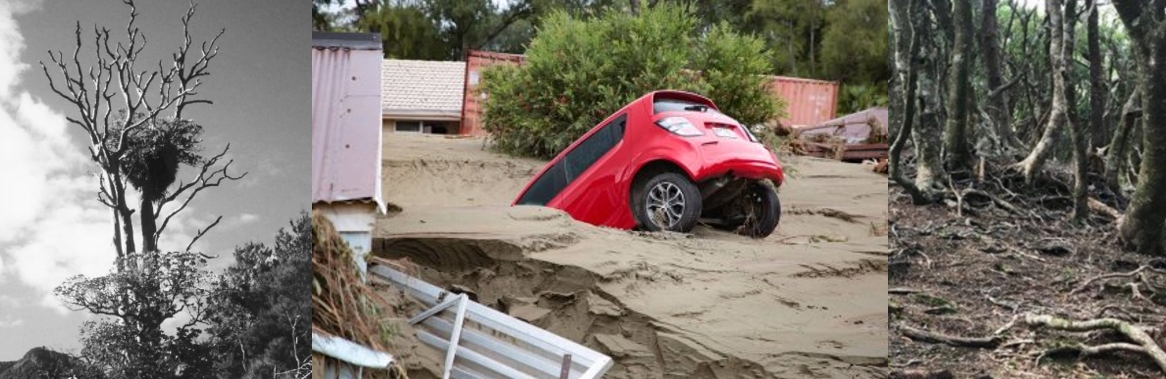 Invasive Browsers damage